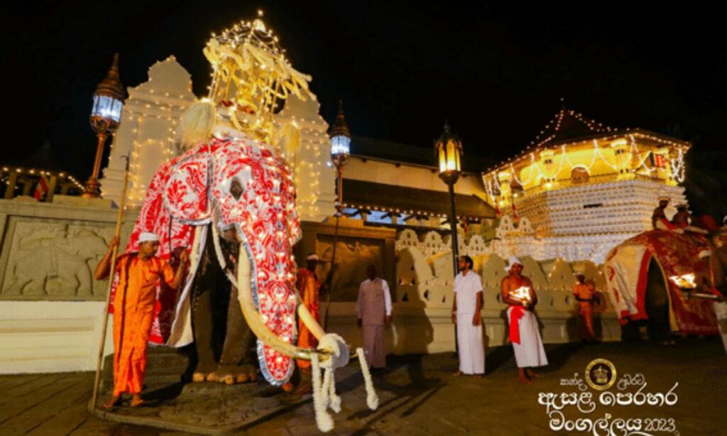 kandy Esala Perahera offers